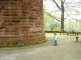 07 - Hasenbergturm - Ruine - Wicht - Rastplatz