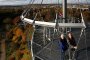 08 - Ballonkamera 06-11-18 Achim Mende