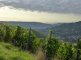 Neckartal, Hedelfingen und Blaue Mauer des Albtraufs - von der Pfaffenklinge  - Foto: © Verschönerungsverein Stuttgart e.V.