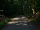 Rössleweg zwischen Geroksruhe und Haigst im schattigen Wald - Foto: © Verschönerungsverein Stuttgart e.V.