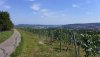 Weites Panorama mit Kappelberg, Neckartal, Blauer Mauer des Albtrauf, Rosenstein, Eingang in den Talkessel - vom Burgholzhof - Foto: © Verschönerungsverein Stuttgart e.V.