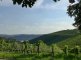 Mönchsberg und Neckartal von unterhalb der Grabkapelle - Foto: © Verschönerungsverein Stuttgart e.V.